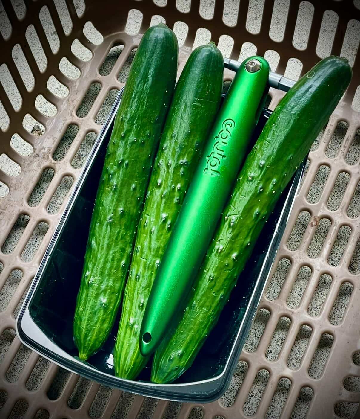 Outils Equipt Sardine et Cucumber côte à côte